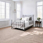 Sena Iron Bed 1004 Wesley Allen Queen Silver Bisque Finish Matriae